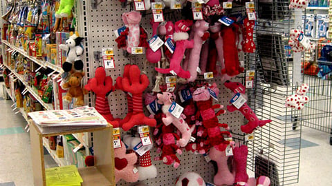 Petco Valentine's Day Endcap