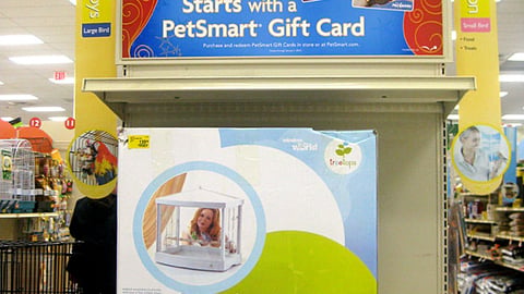 PetSmart Holiday Gift Card Endcap Header