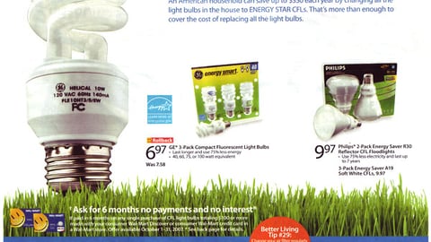 Wal-Mart 'Common Future' Feature
