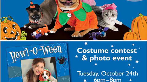 PetSmart Costume Contest Feature