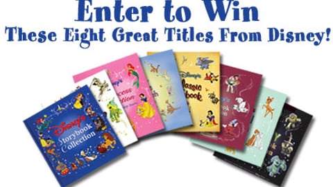 BJ's/Disney Sweepstakes