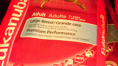 Eukanuba Packaging