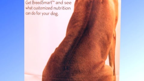 Eukanuba Standee