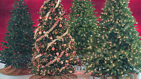 Sears Holiday Circular Cover