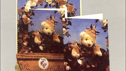 North America Bear Co.