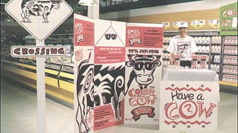 Cool Cow Milk Product Display
