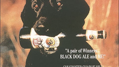 Black Dog Ale Display