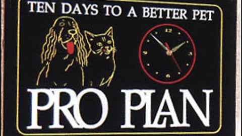 Pro Plan Backlit Clock