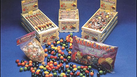 Concord Confections Gumballs