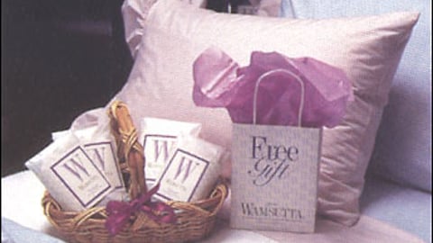 Wamsutta Gift-with-Purchase