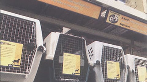 Doskocil Display