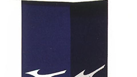 Mizuno Wave Rider Shoe Display
