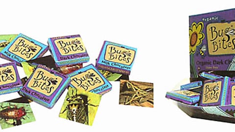 Bug Bites Display