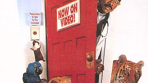 Dr. Dolittle Video Display
