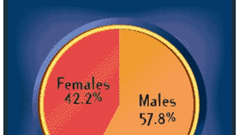 What is Your Gender?