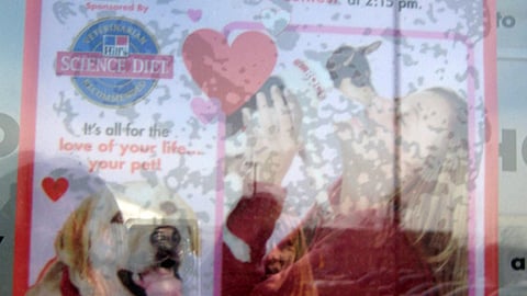 Petco Valentine's Day Party Window Cling