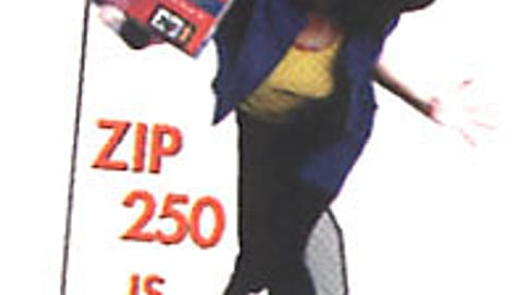 Fuji Zip 250