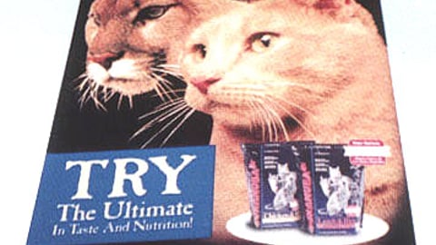 Eukanuba Cat Food Floor Cling
