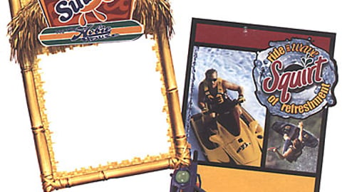 Sunkist Pole Signs
