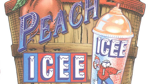 ICEE Easel