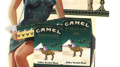 Camel Turkish Jade Counter Display