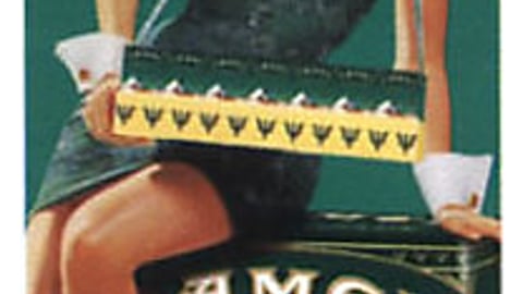 Camel Turkish Jade Tapestry Banner Display