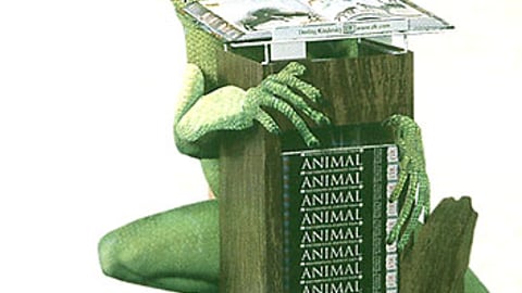 DK Smithsonian Animal Floorstand