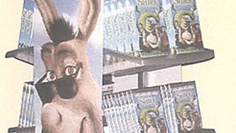 Shrek Video Display