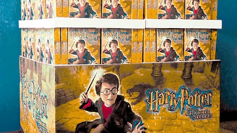 Electronic Arts Harry Potter Pallet