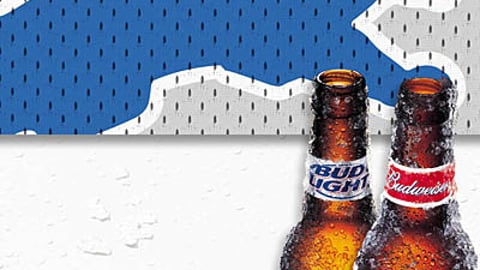 Budweiser Lions