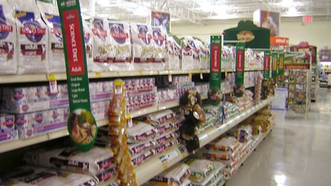 PetsMart Dog Food Aisle Violators