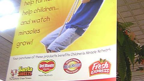 Publix Produce for Kids Ceiling Hanger