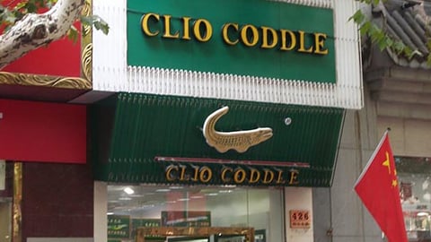 Clio Coddle Store