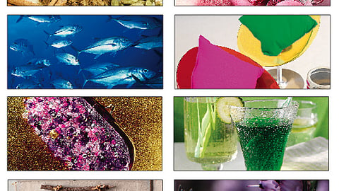 'ICI Paints Colour Futures 2006' Swatches