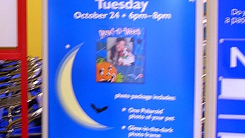 PetSmart Halloween Contest Sign