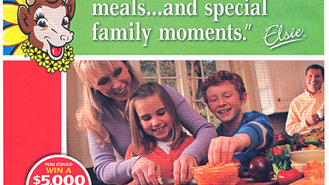 Borden 'Family Favorites' Contest FSI