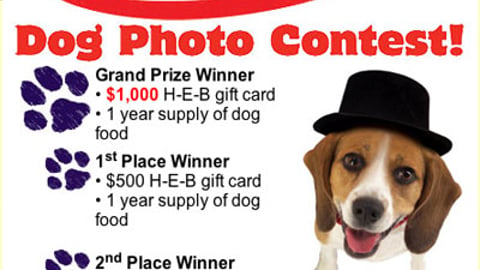 H-E-B Top Dog Photo Contest Online Ad