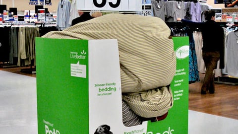 PoochPlanet Wal-Mart Earth Month Dump Bin 