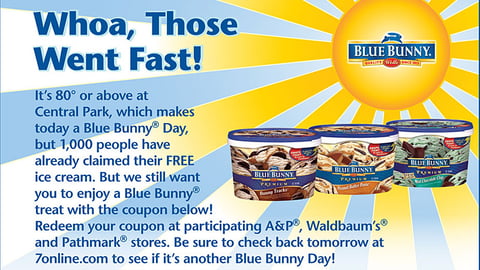 'Blue Bunny Day' Online Feature