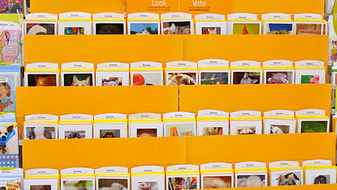 Hallmark 'Your Pets' Finalists In-Line Display