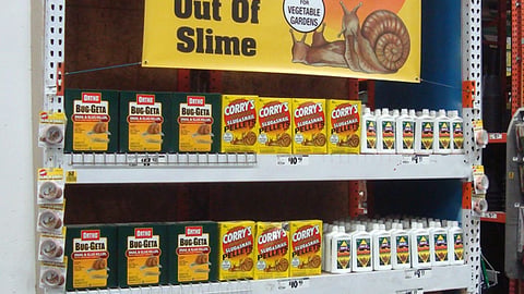 Home Depot Corry's Endcap