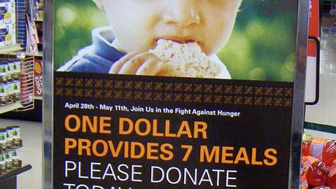 Food Lion 'Hunger Has A Cure' Stanchion Sign