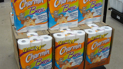 Charmin Basic Pallet Display