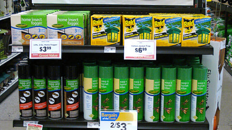 True Value 'Bargain of the Month' Endcap