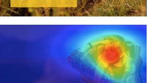 3M Visual Attention Service