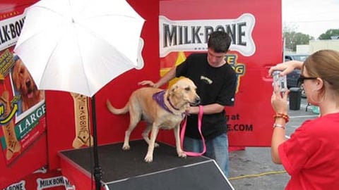 Milk-Bone Tour Stop