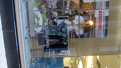 Sears Reimagine "Redbook" Window Display