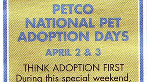 Petco "Spring a Pet" Feature