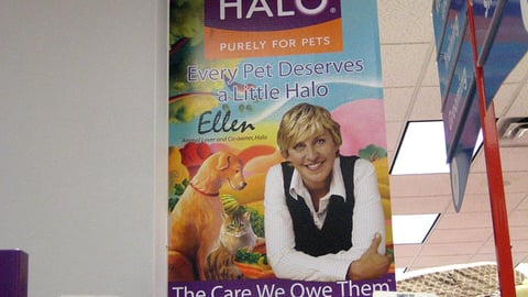Petco Halo Violator