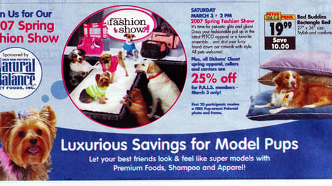 Petco Spring Fashion Show Feature